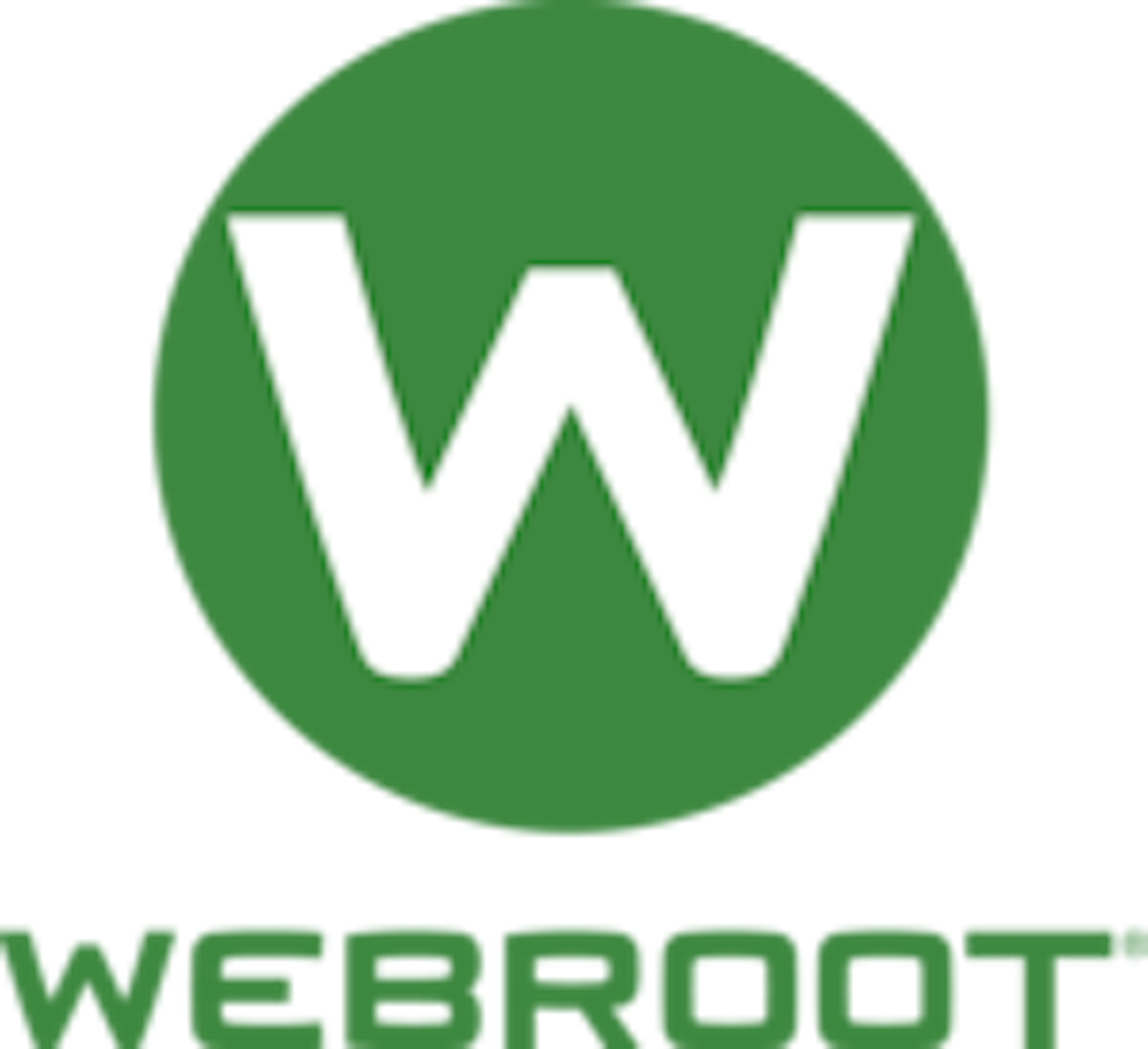 Webroot DNS Protection Logo