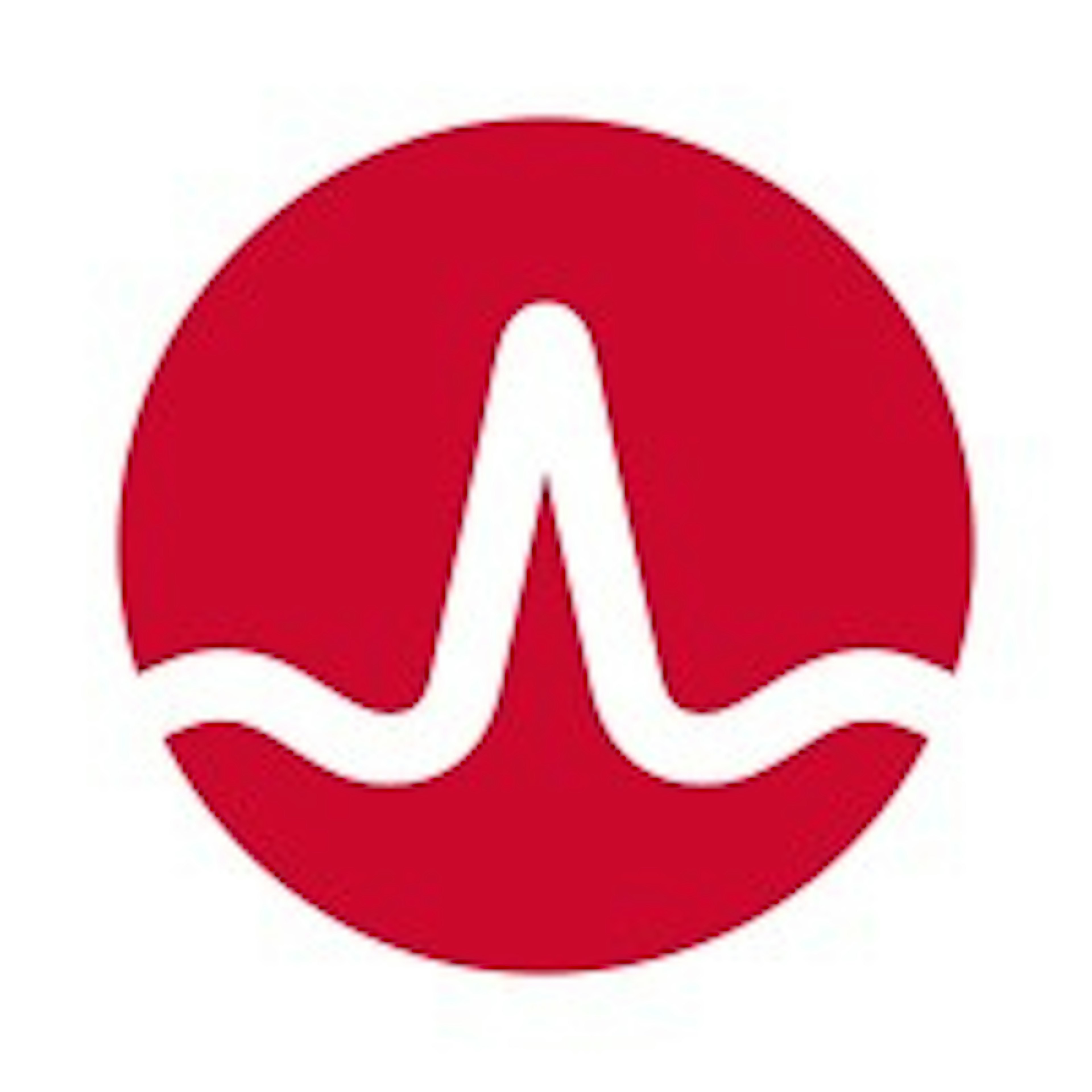 CA Service Desk Manager Logo