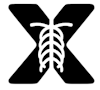 X-ray Interpreter logo