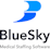 BlueSky Medical Staffing Software