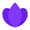 Calyx Aesthetic Software logo