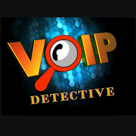 VoIP Detective