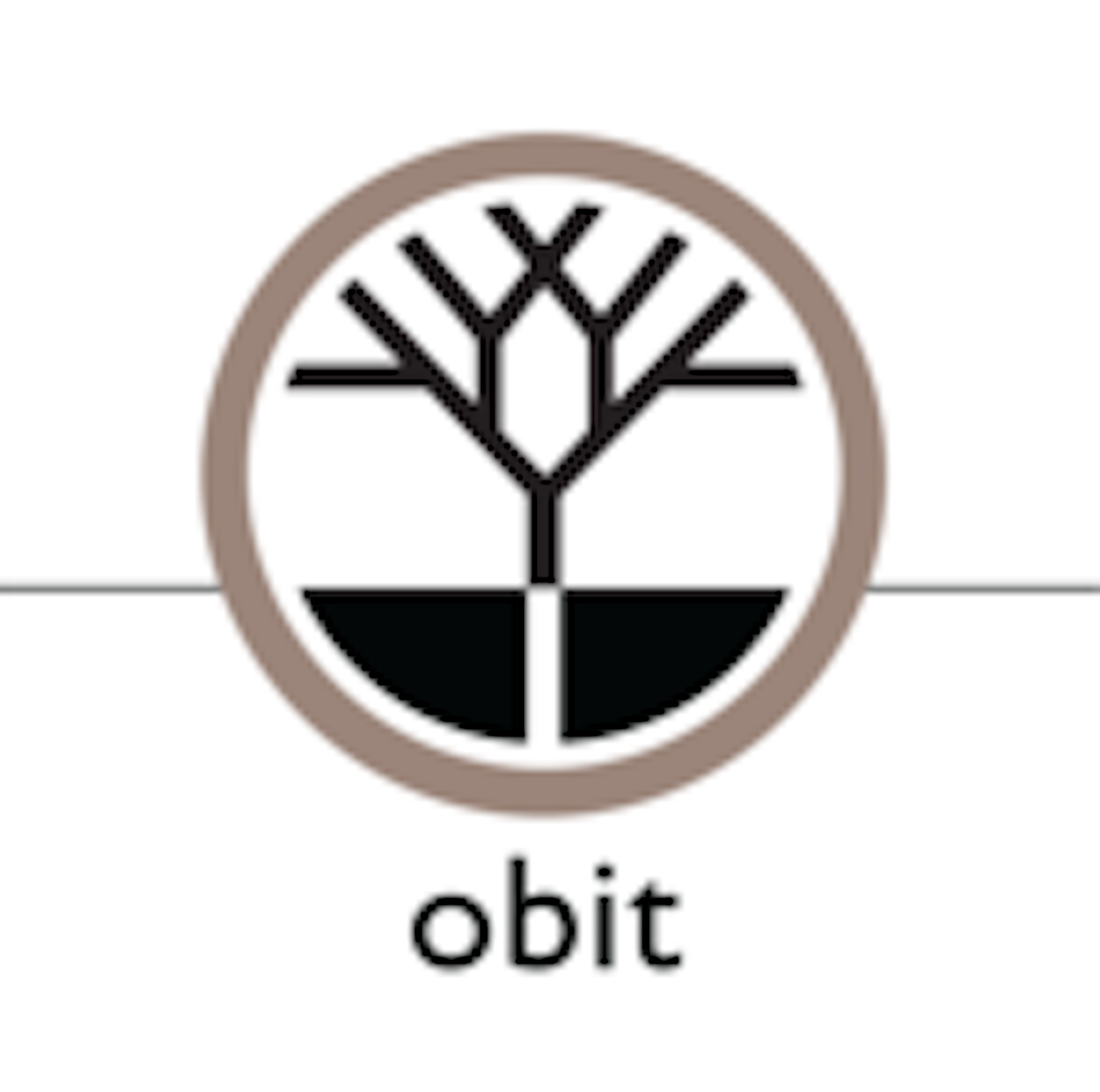 Obit Logo