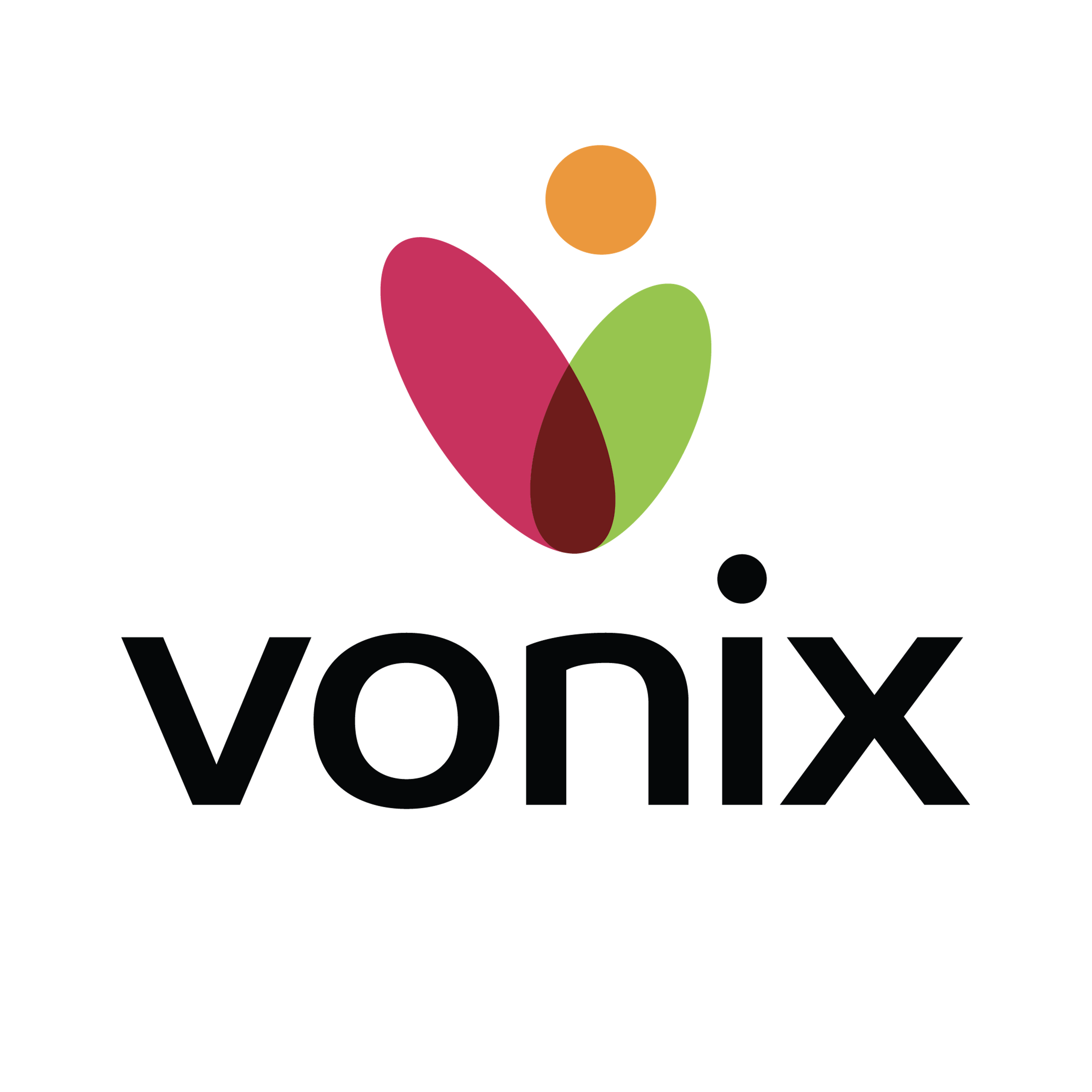 Vonix Logo