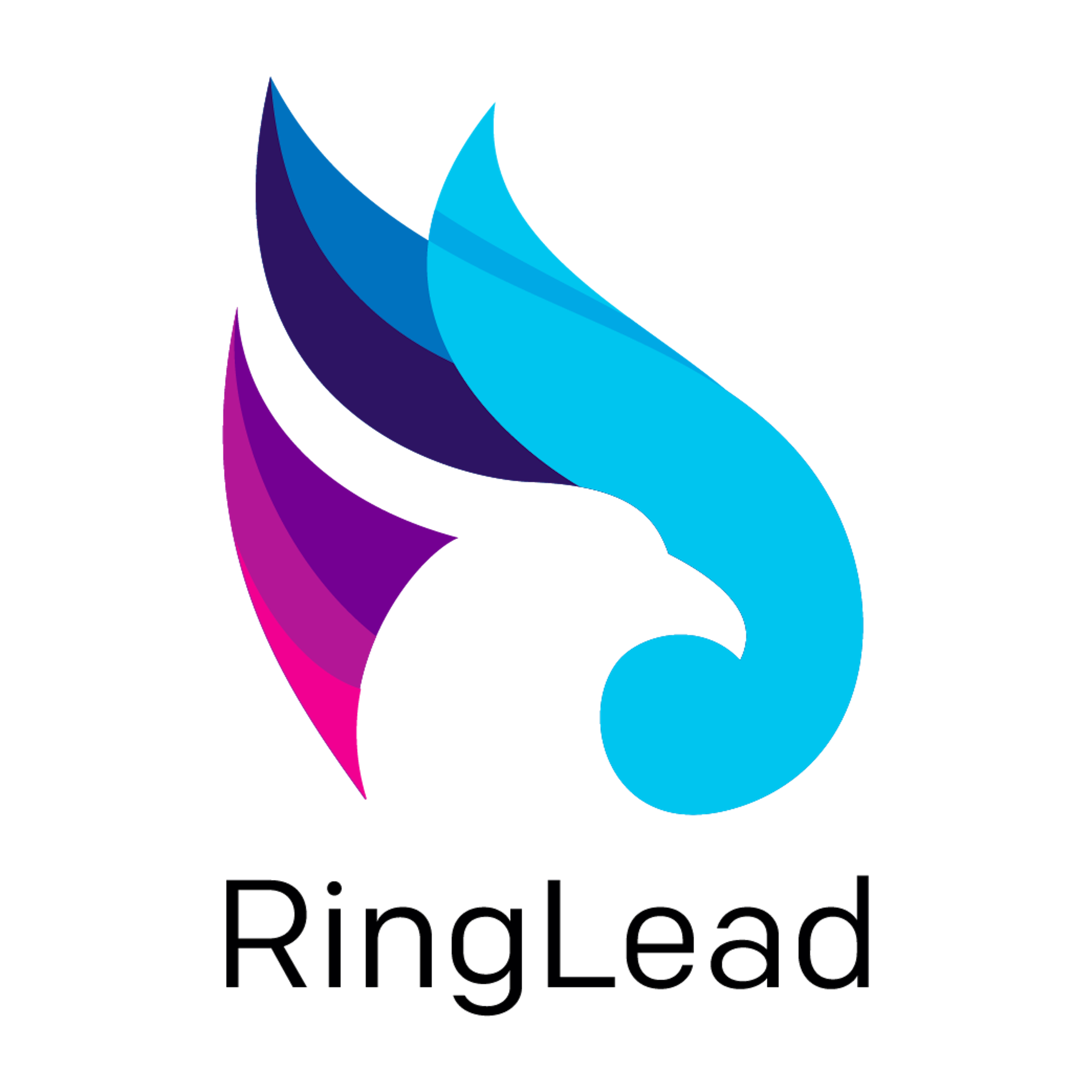 ringlead-pricing-features-reviews-alternatives-getapp