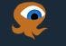 IOctopus
