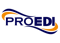 Pro_EDI Translator logo