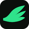 AnswerWing logo