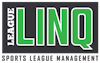 League Linq logo