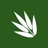 Willow logo