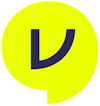 Vurvey logo