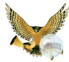 BellHawk logo