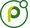 Powell Teams logo
