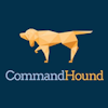 Control Point Command logo