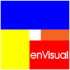 enVisual360 logo
