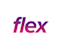 Flex Parking logo