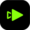 Topaz Video logo