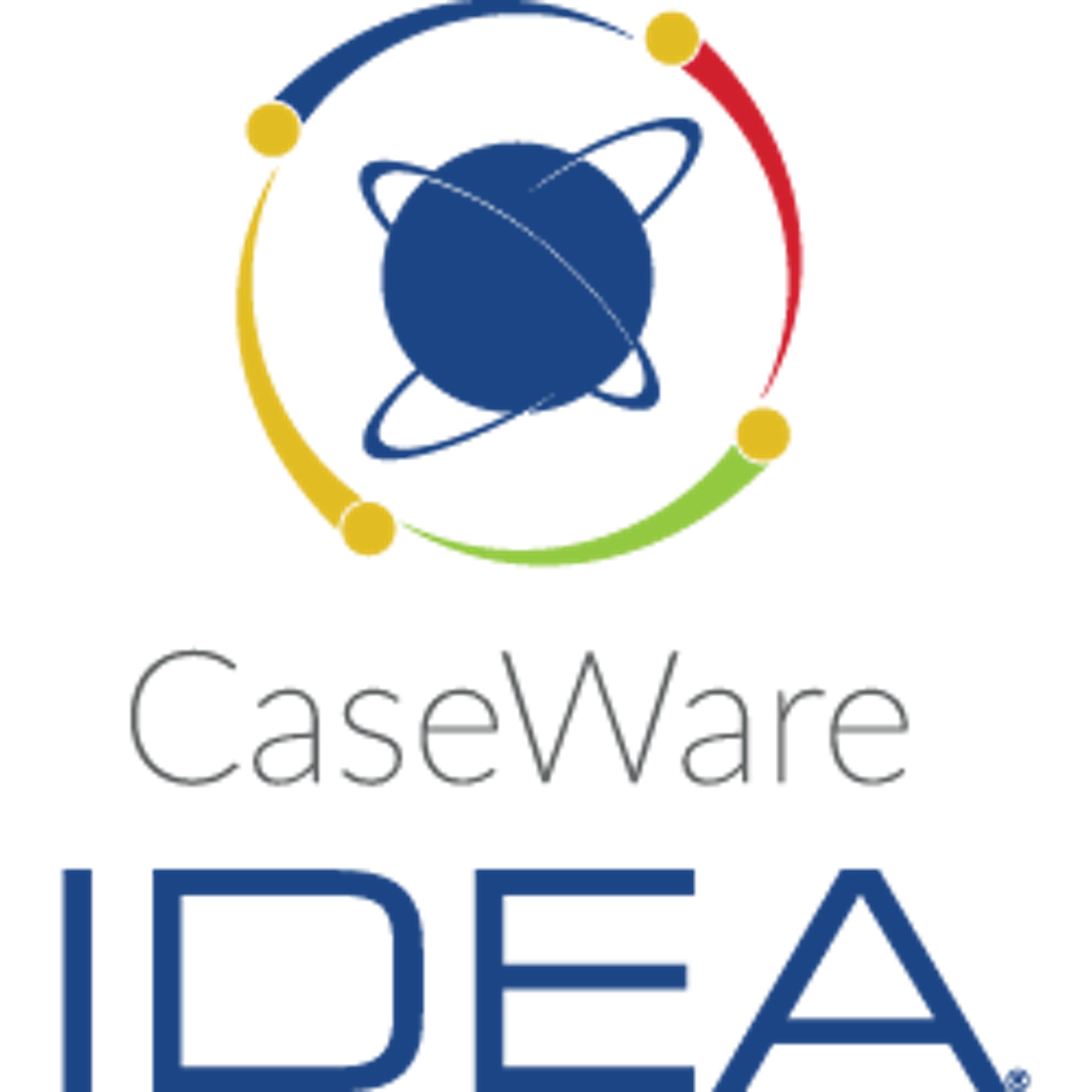 CaseWare IDEA Logo