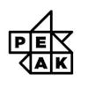 Peak AI logo