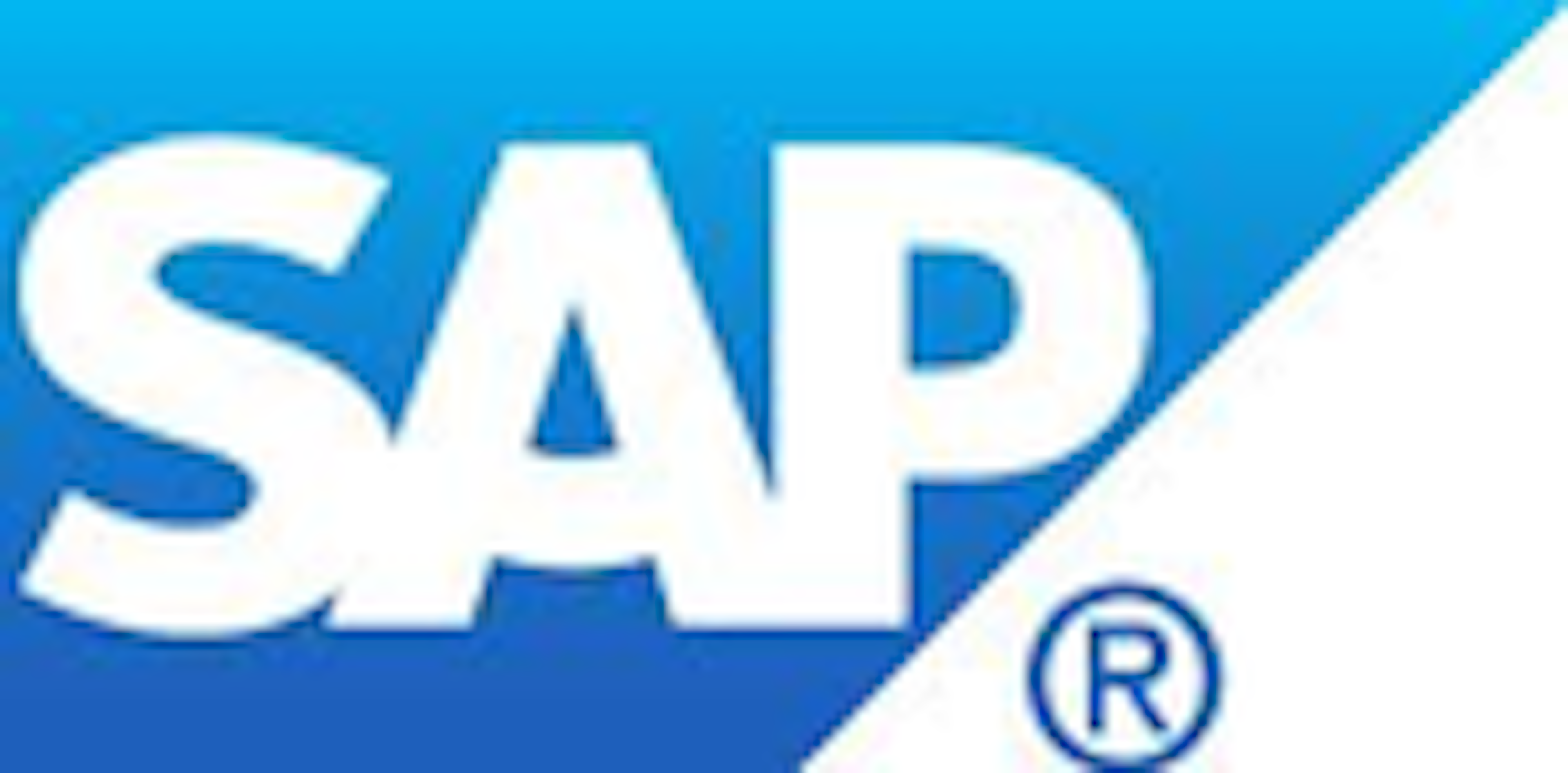 SAP Access Control Logo