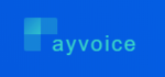 Payvoice