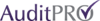 AuditPro logo