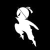 StealthNet AI Logo
