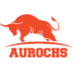 Aurochs IC Calculation Engine