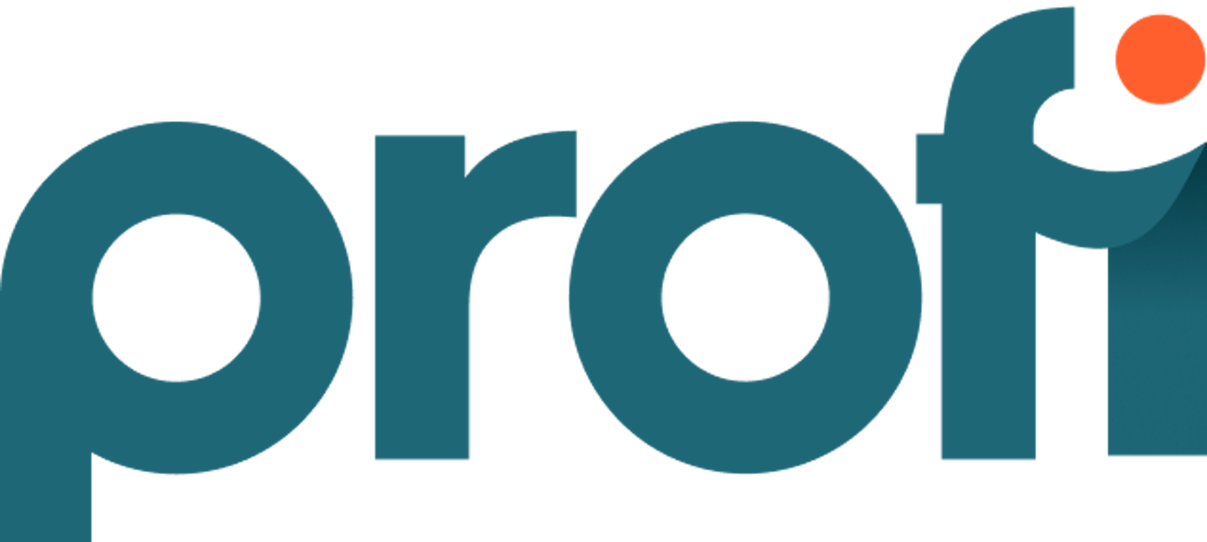 Profi Logo