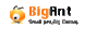 BigAnt Space logo