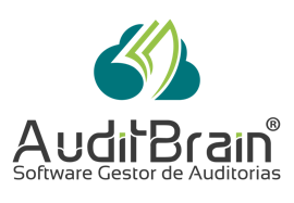 AuditBrain Internal