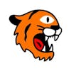 Tiger Finder logo