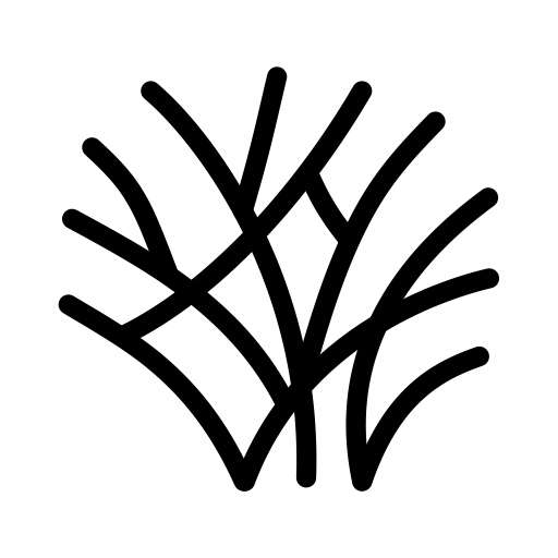 Thicket logo