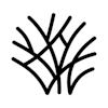 Thicket logo