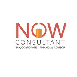 Now Expert Tax Consultant logo