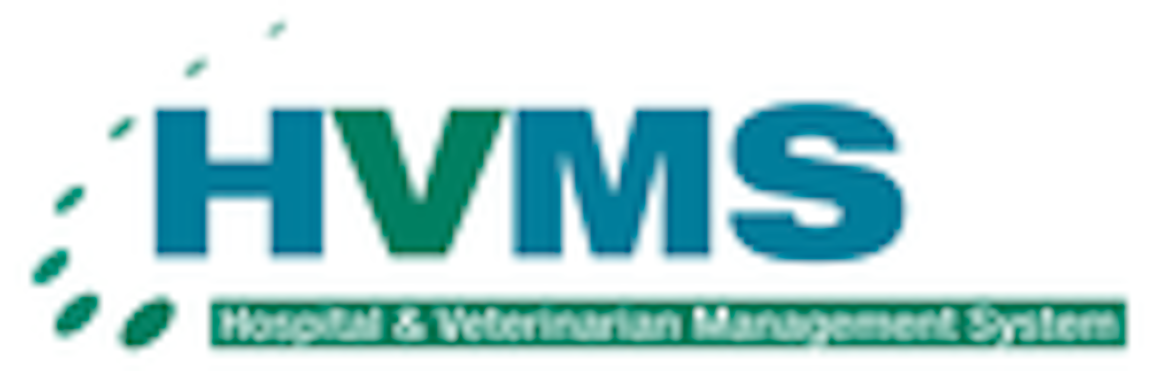HVMS Logo