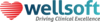 Wellsoft EDIS logo