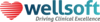 Wellsoft EDIS's logo