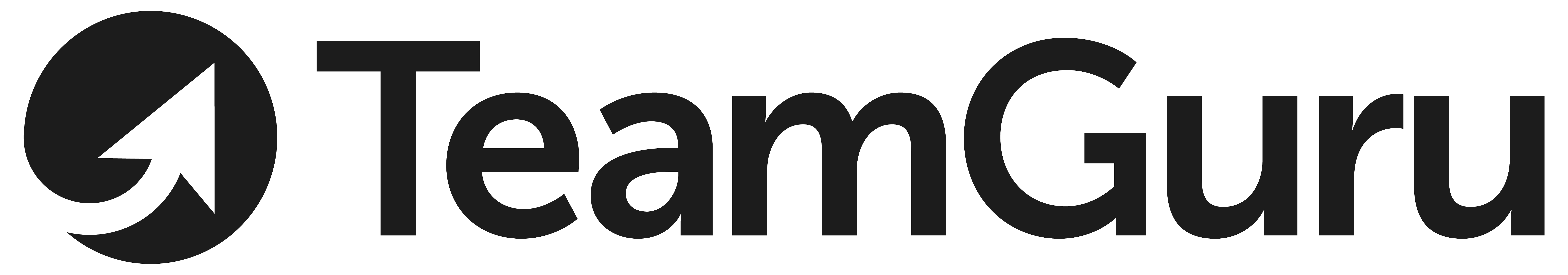 TeamGuru logo
