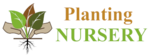 Planting Nursery