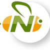 NextBee logo