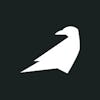 Raven Health logo