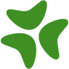 Bloomerang's logo