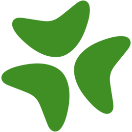 Logotipo do Bloomerang