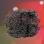 CrimeSoft