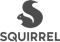 Squirrel POS logo