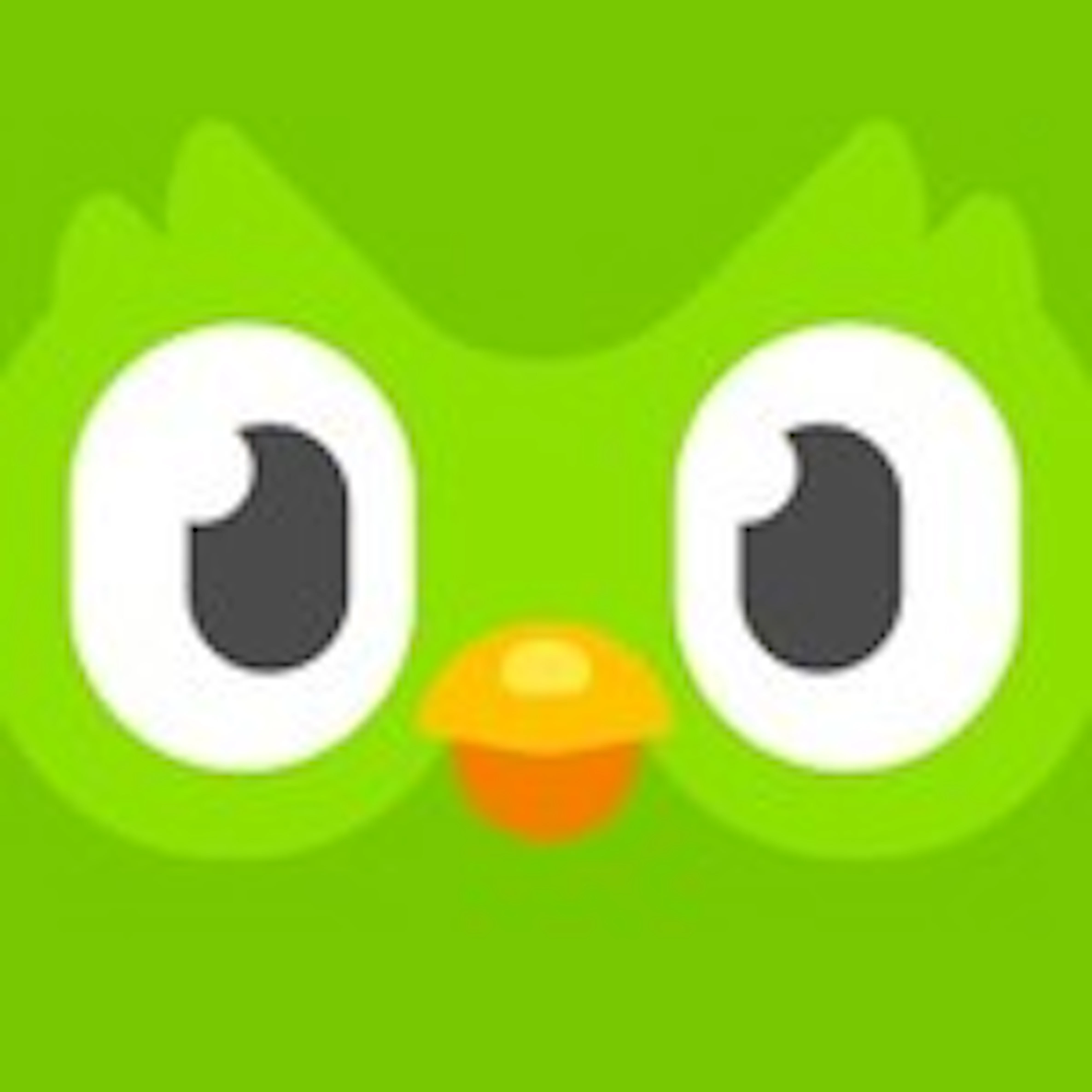 Duolingo Pricing Features Reviews Alternatives GetApp