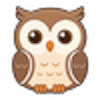 Childcare Owl logo
