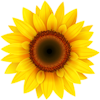 VideoPsalm logo