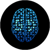 SmartyzeDetect ANPR logo